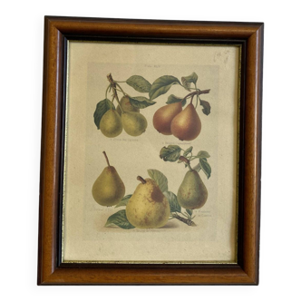 Tableau à fruit