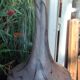 Grande lampe à poser verrerie de vianne pour suberville
