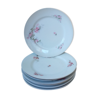 7 old flower plates