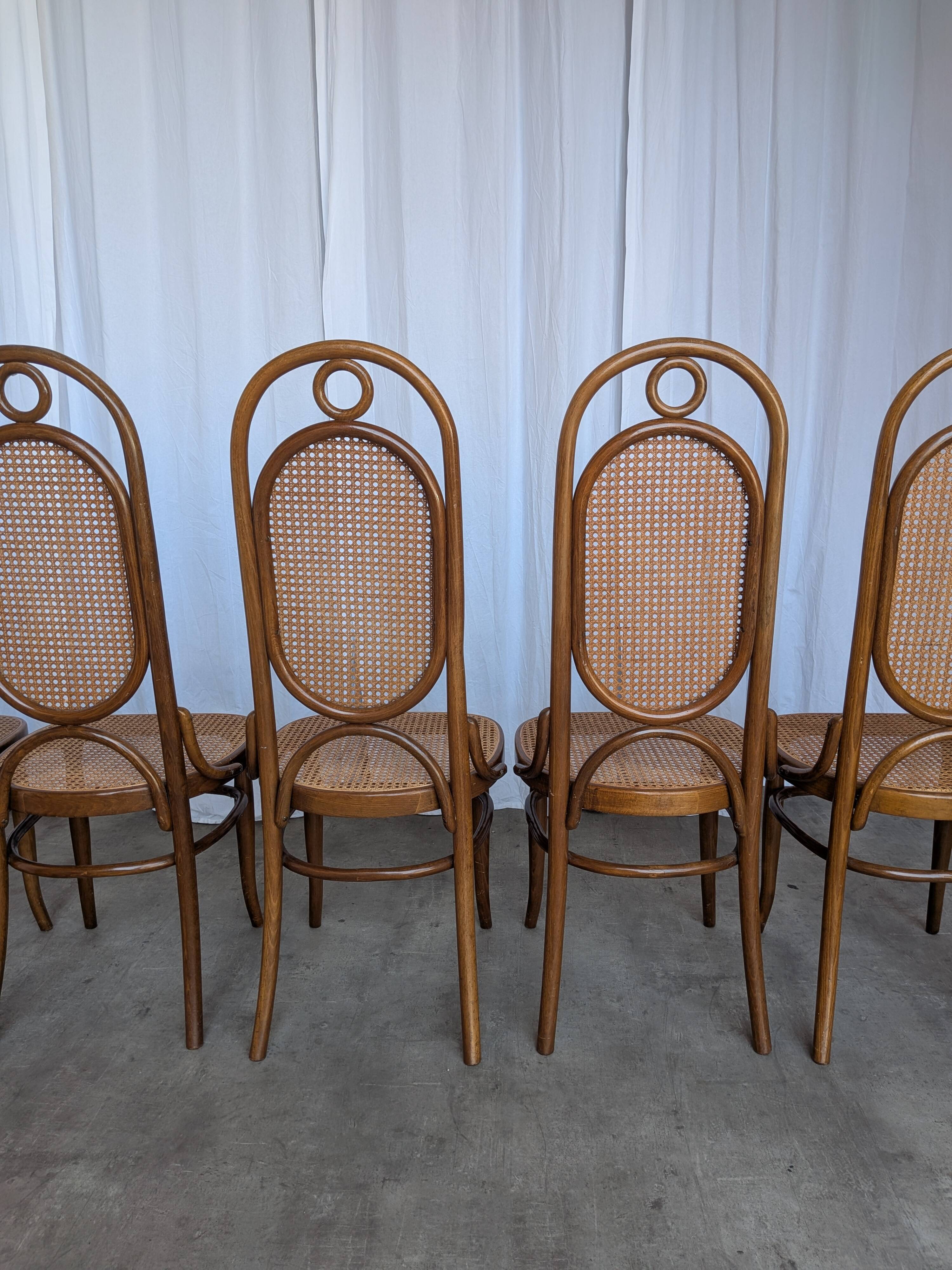 Set of 6 Mid-century Bentwood Cane Dining Chair, Thonet Style, 1970s Yugosl