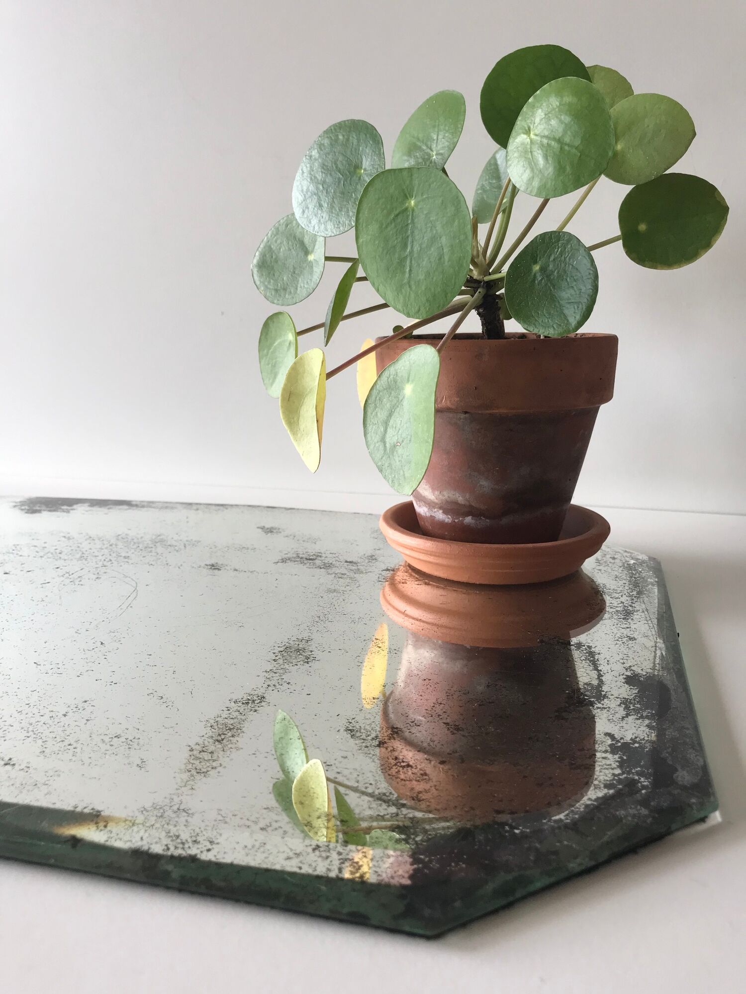 Miroir biseauté à poser 33x47cm