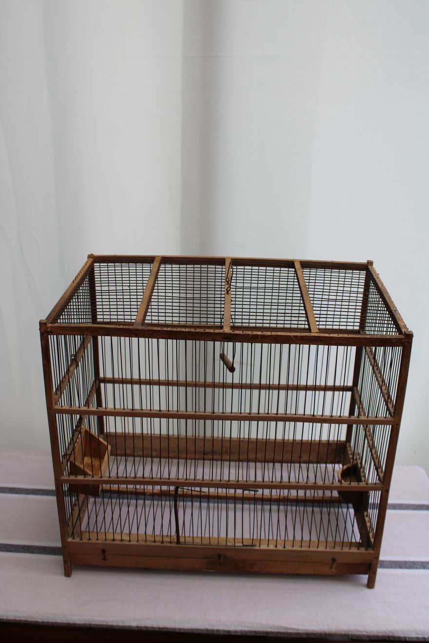 Old wooden bird cage