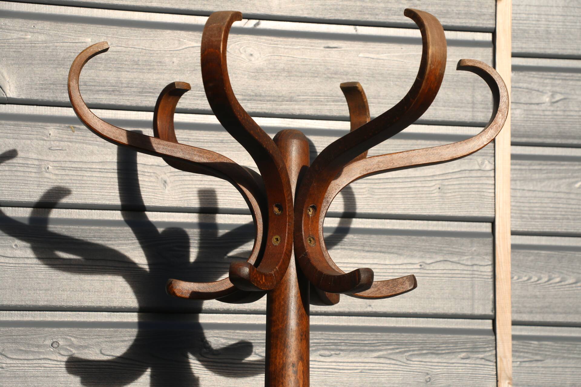 BAUMANN parrot coat rack dark beech umbrella stand