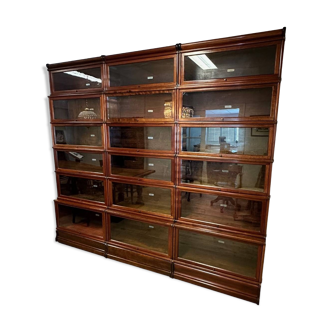 Large Globe Wernicke Bookcase