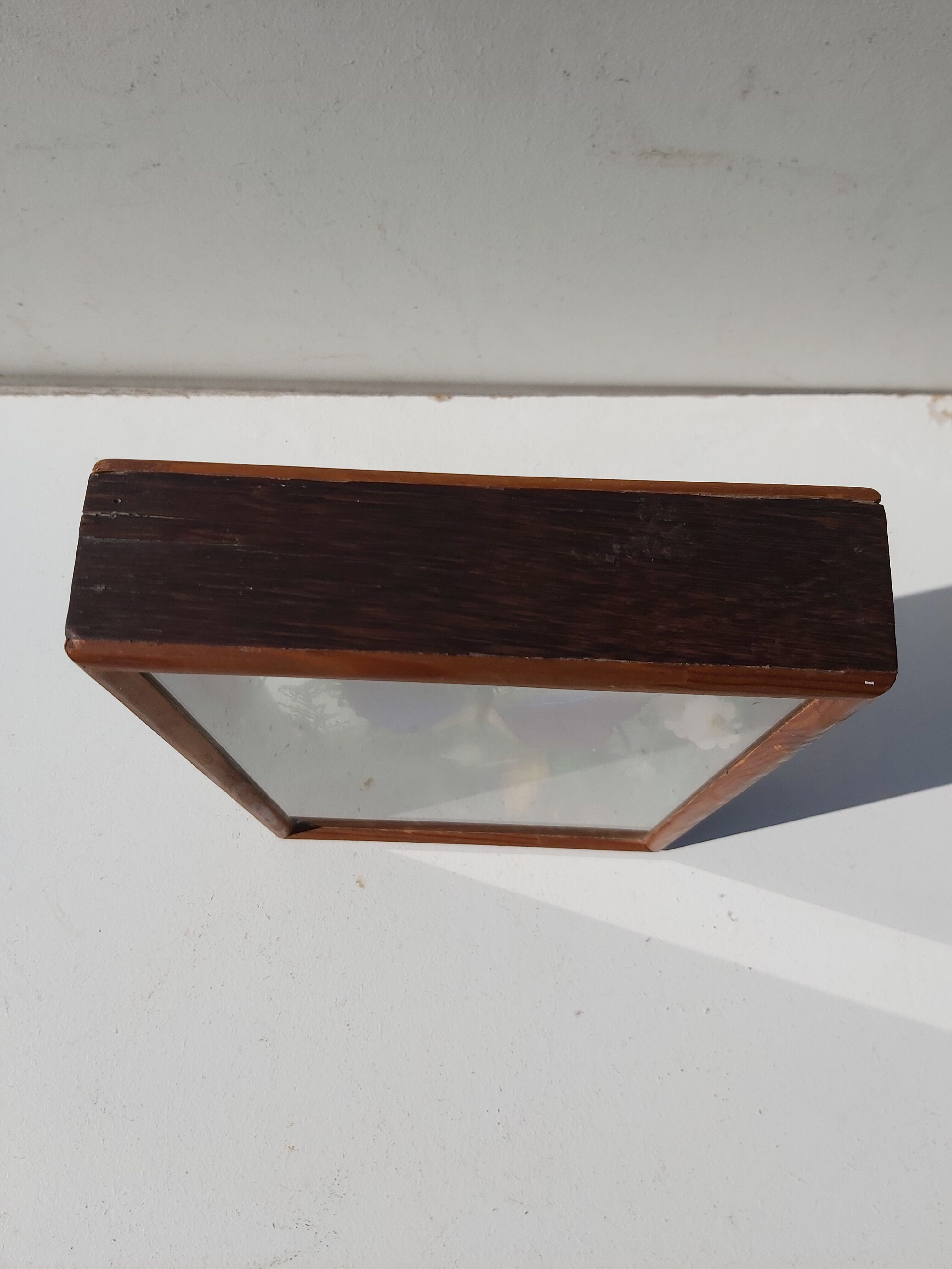 Box composition butterfly wood and glass