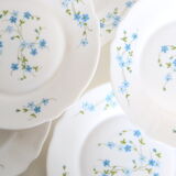 Dessert plates 6 Arcopal, Veronica pattern