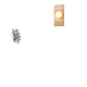 Ceramic zellige wall light