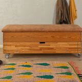 Unique Vaulting Box as Storage Cabinet and Bench