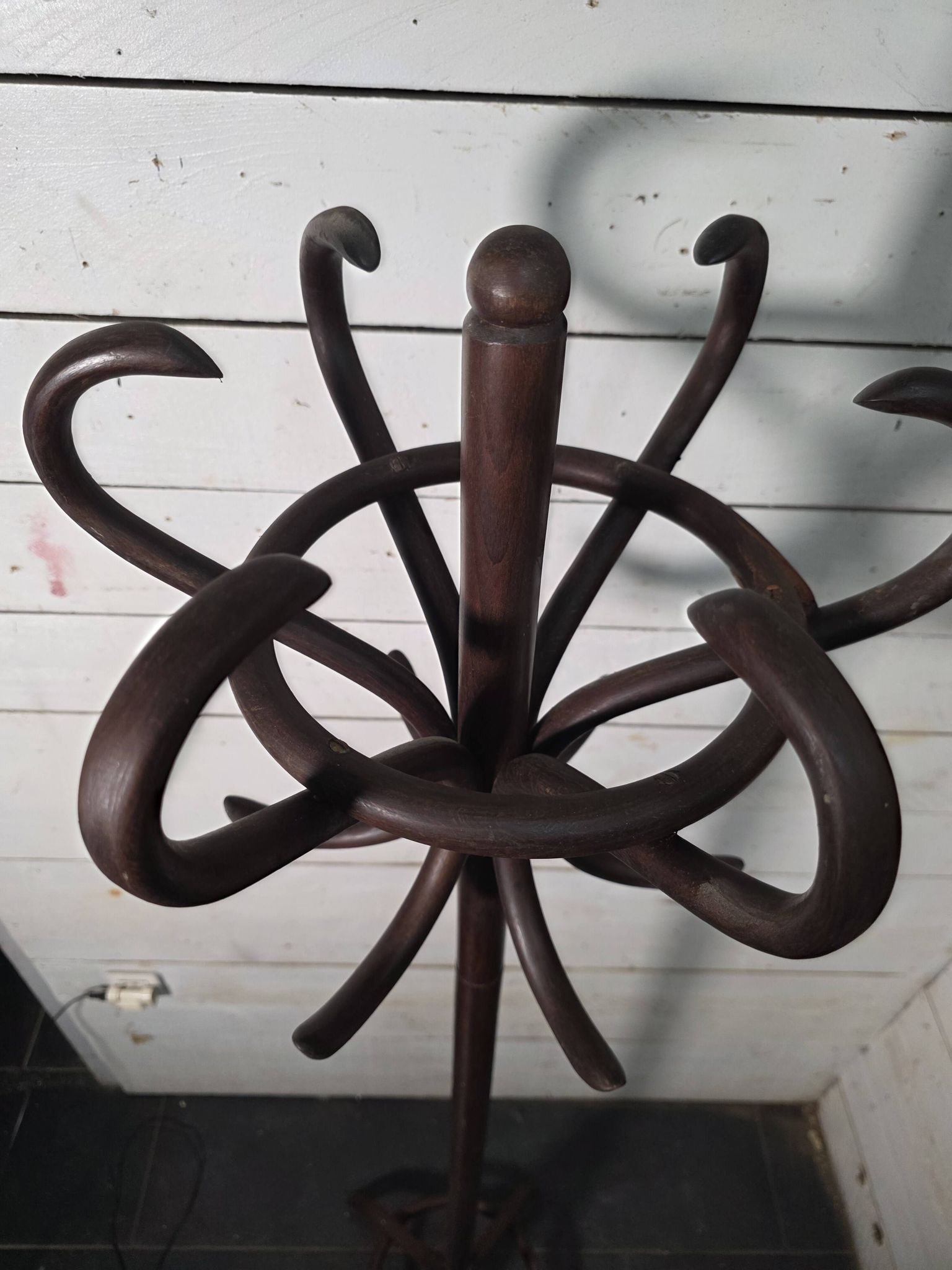 Perroquet en bois courbé ancien 