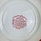 6 assiettes terre de fer rouges Royal Tudor modèle 17th century England ironstone