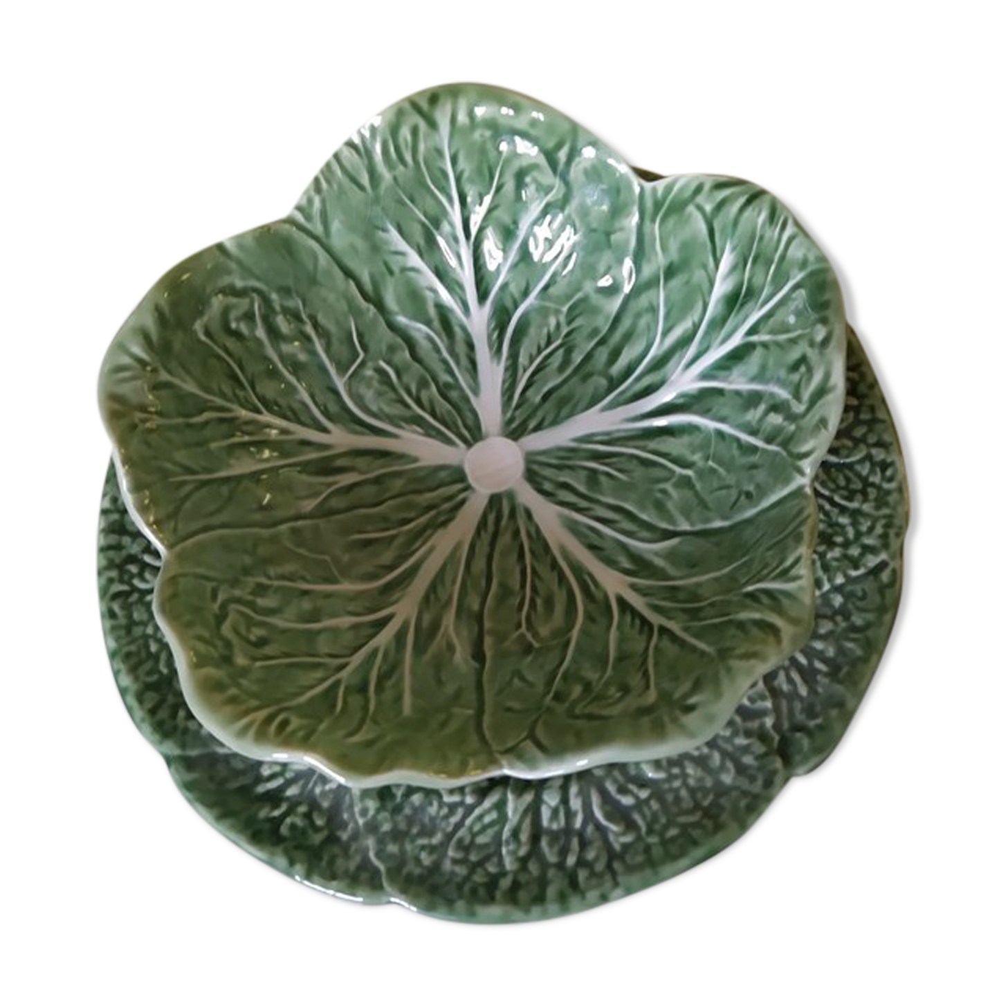 Barbotine feuille de chou