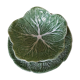 Barbotine feuille de chou