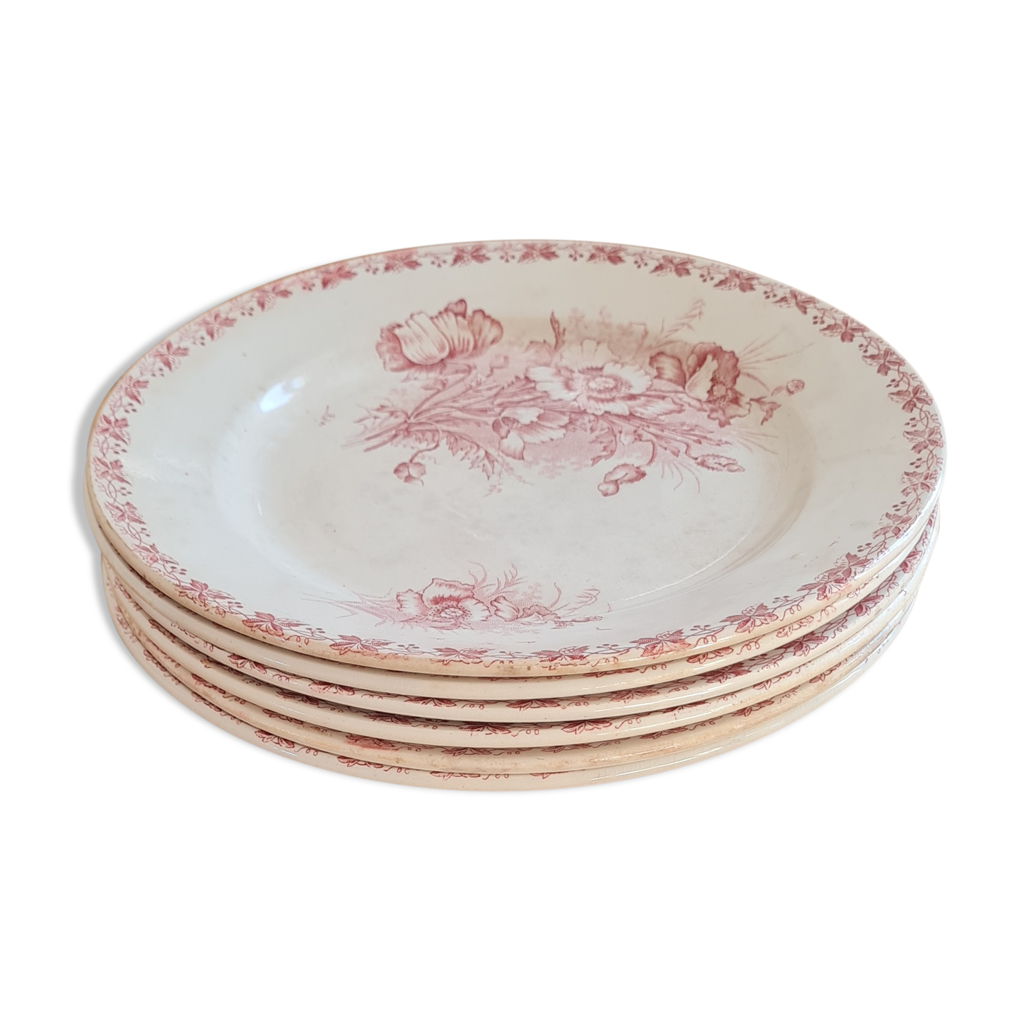 Serving of 6 plates in iron earth