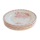 Serving of 6 plates in iron earth