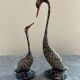 Pair ancient brass birds