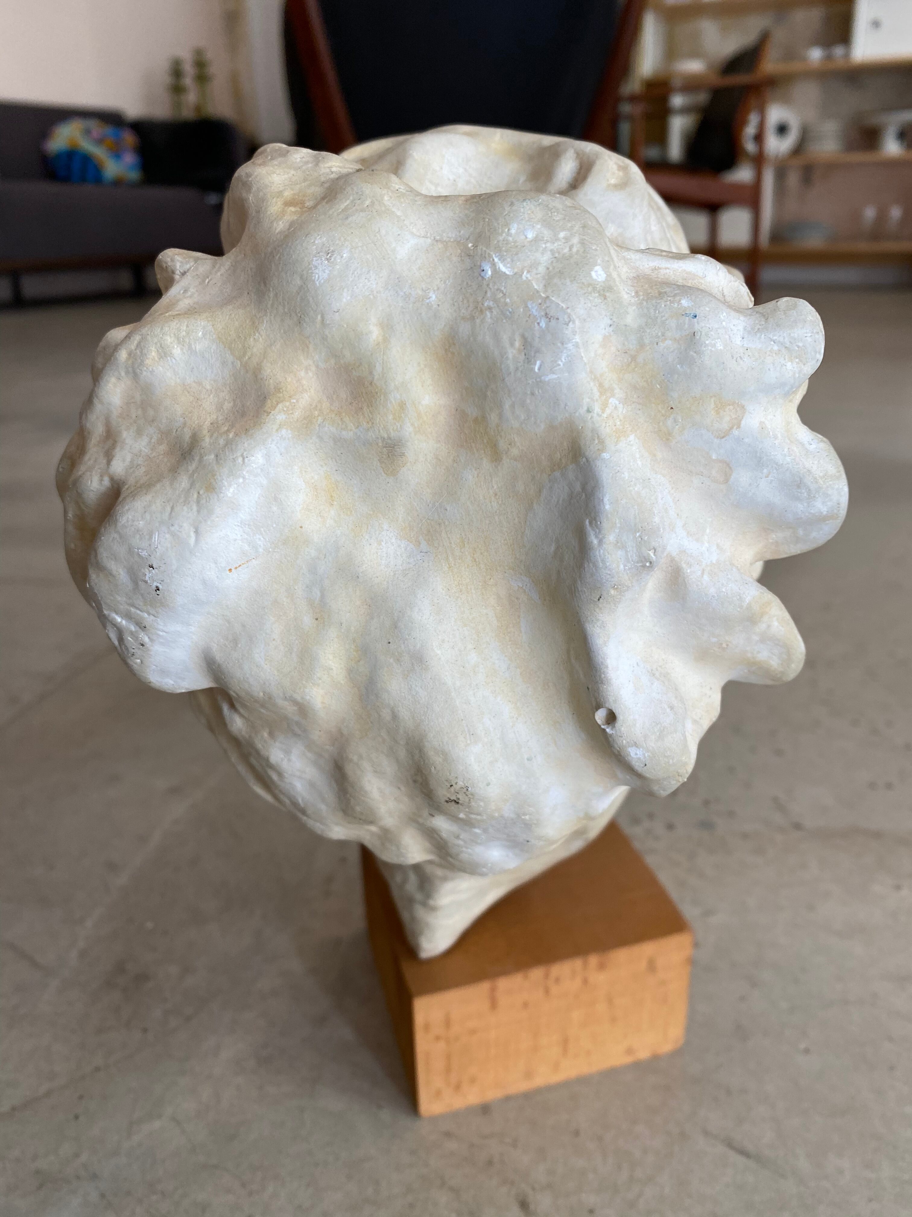 Antique plaster head