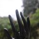 Ceramic hand-shaped soliflore