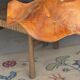 Average suspension flat wavy leaf in smooth teak flower D:40