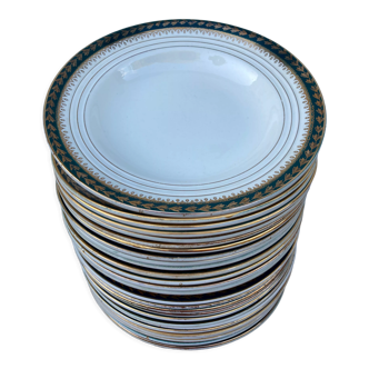 Plates for 14 people Céranord Saint Amand green and golden including hollows and plates