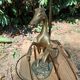 Vintage horse lamp