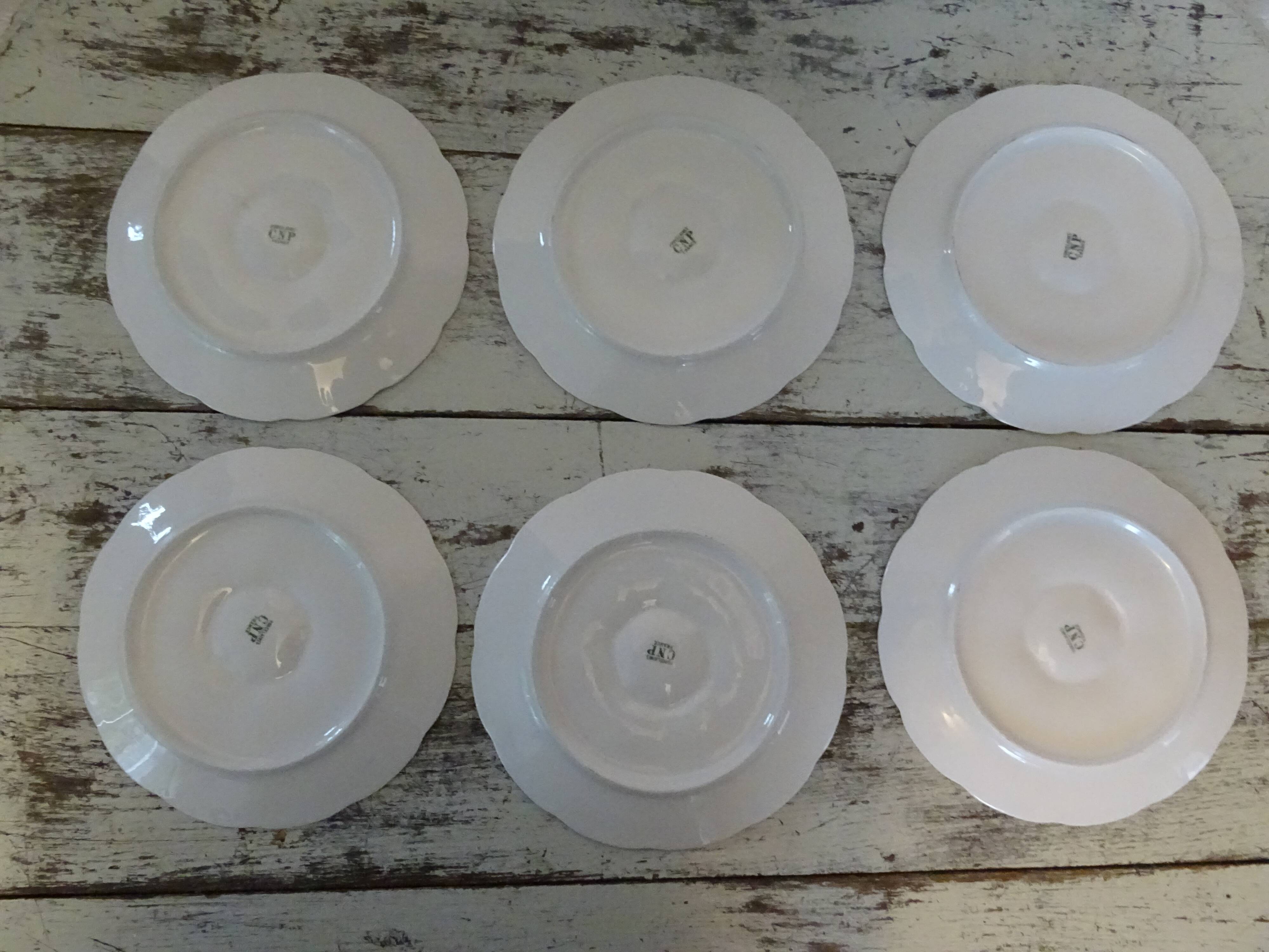 6 oyster plates 30123 porcelain white cnp france