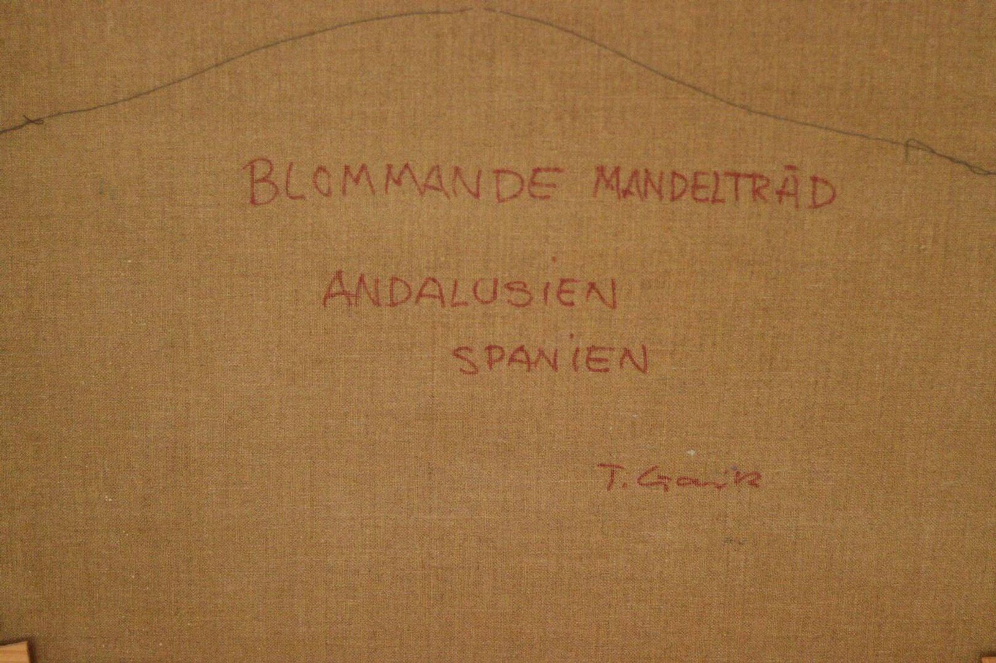 « Amandier en fleurs, Andalousie, Espagne » par Tage Gavik