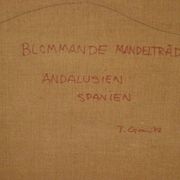 « Amandier en fleurs, Andalousie, Espagne » par Tage Gavik