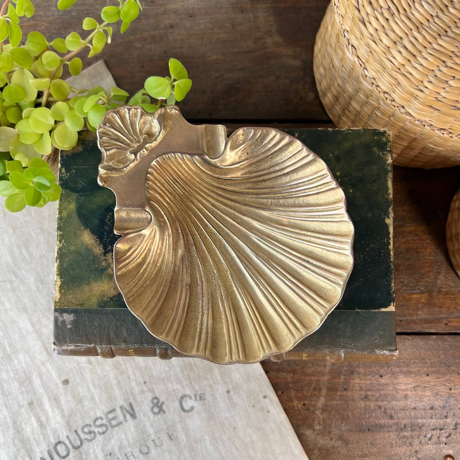Scallop shell pocket in brass