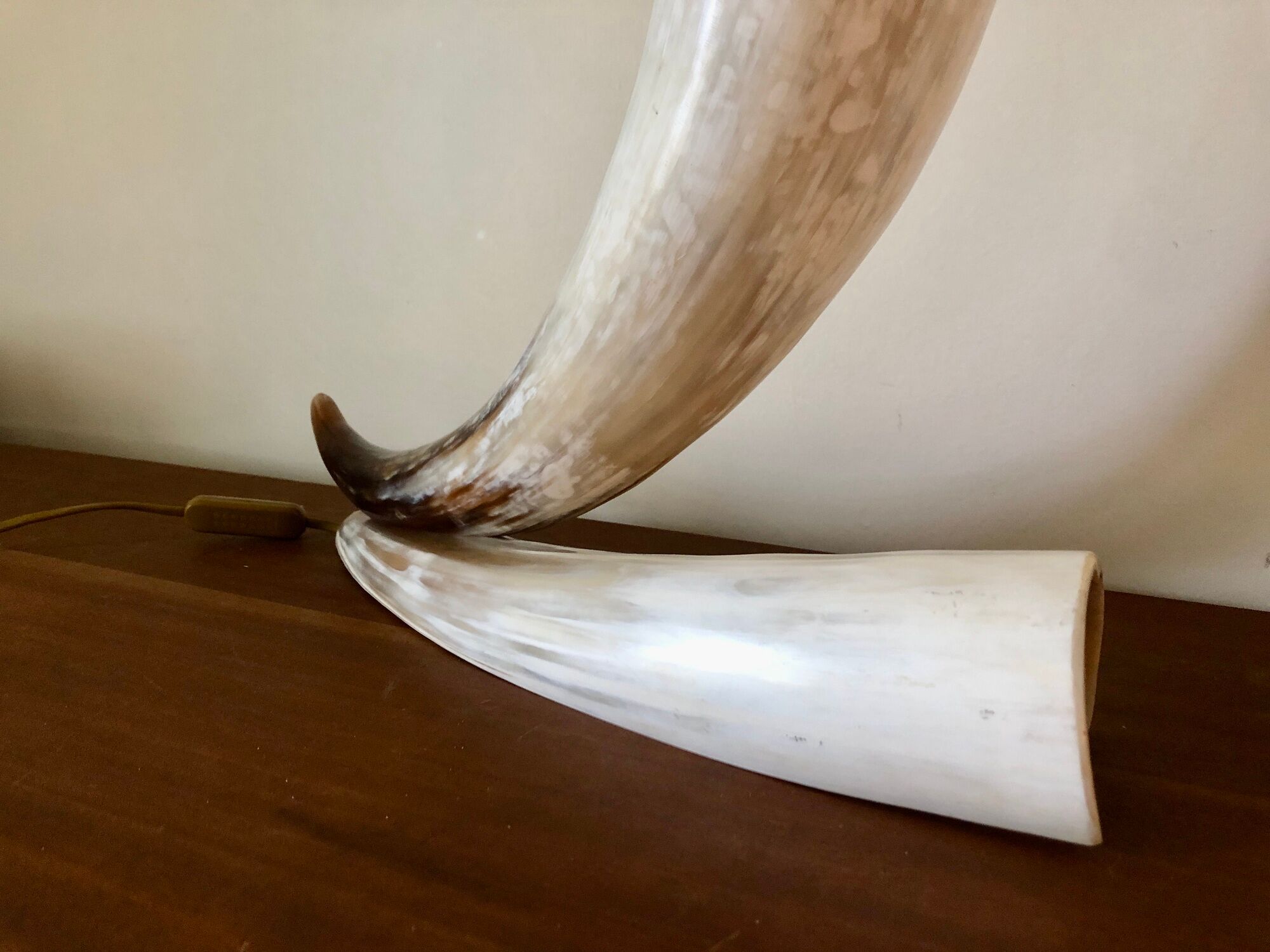 Grande lampe corne