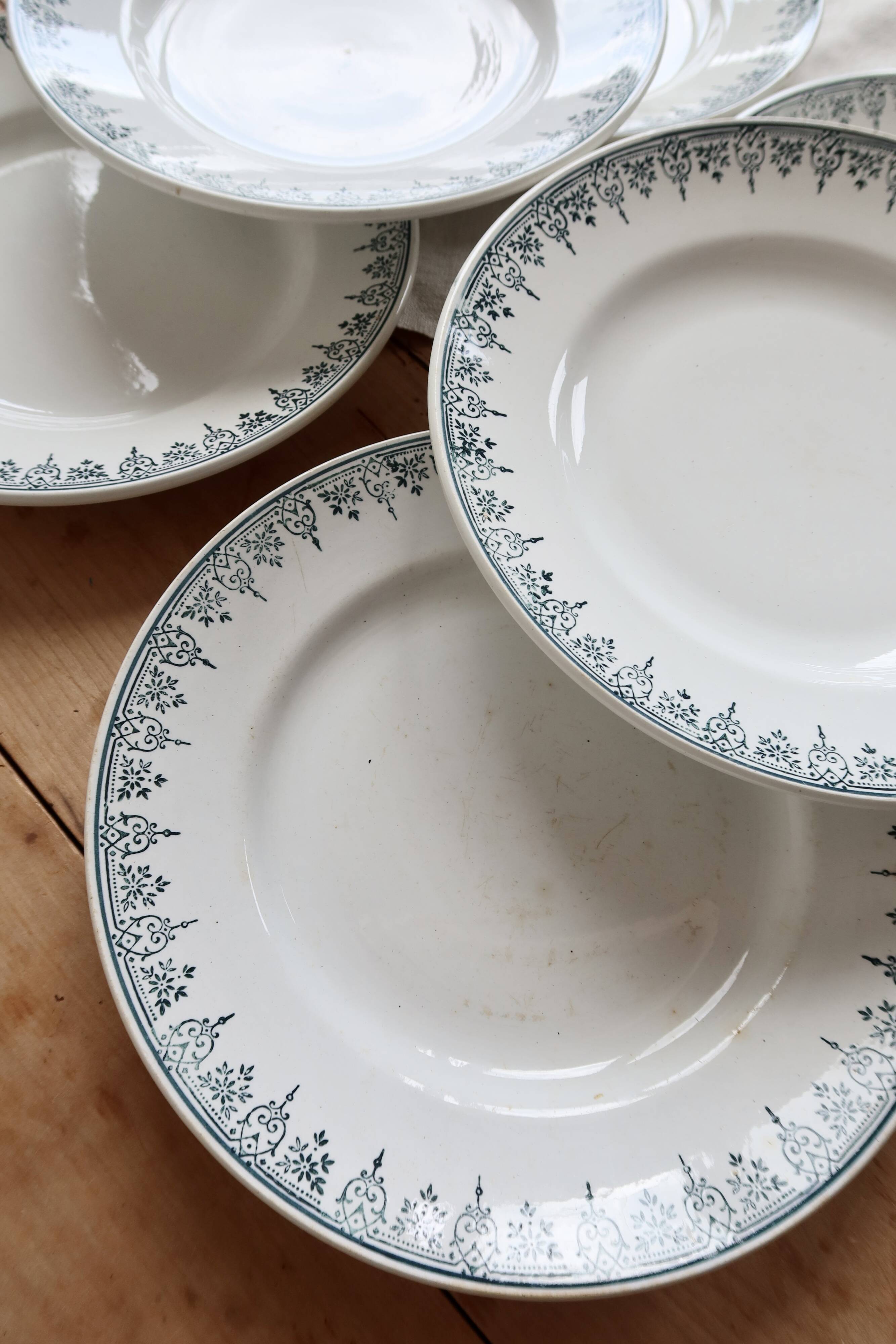 6 vintage plates from Terre de Ter Saint Amandinoise, Saint Amand model 4500.