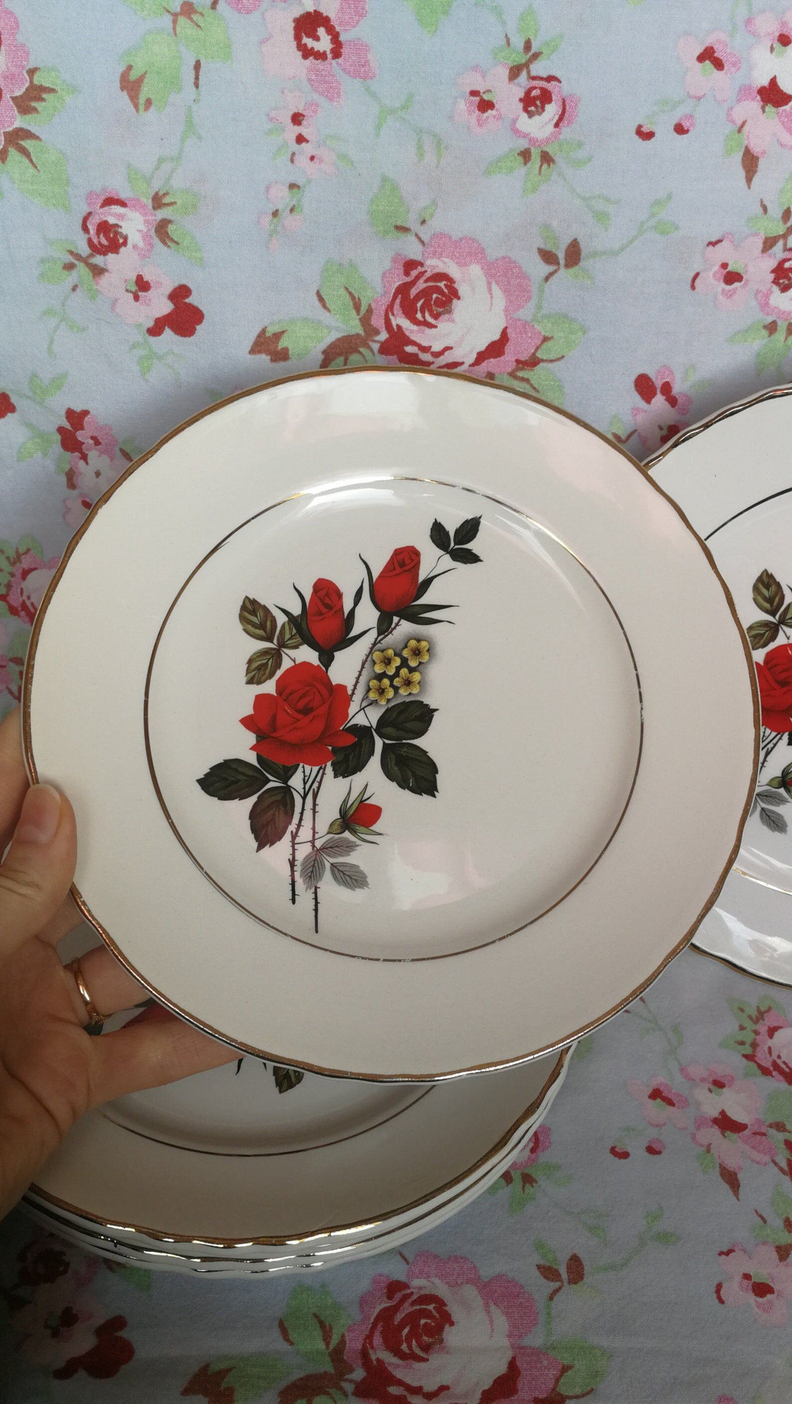 6 Old Wolf Mill Dessert Plates red pink pattern