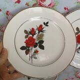 Set de 6 assiettes à dessert anciennes Moulin des loups motif roses rouges