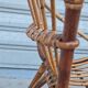 Rattan shell armchair