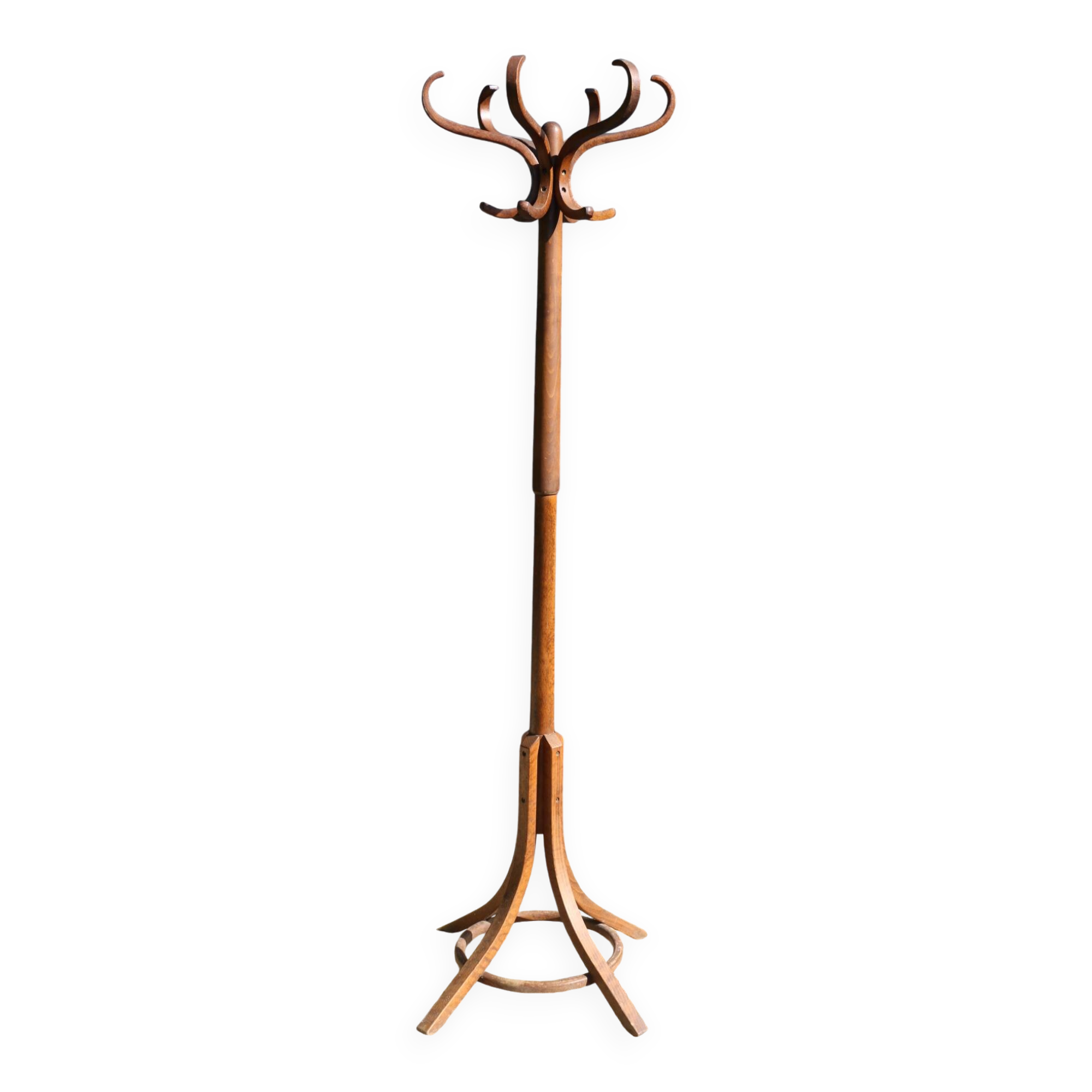BAUMANN parrot coat rack simple dark beech