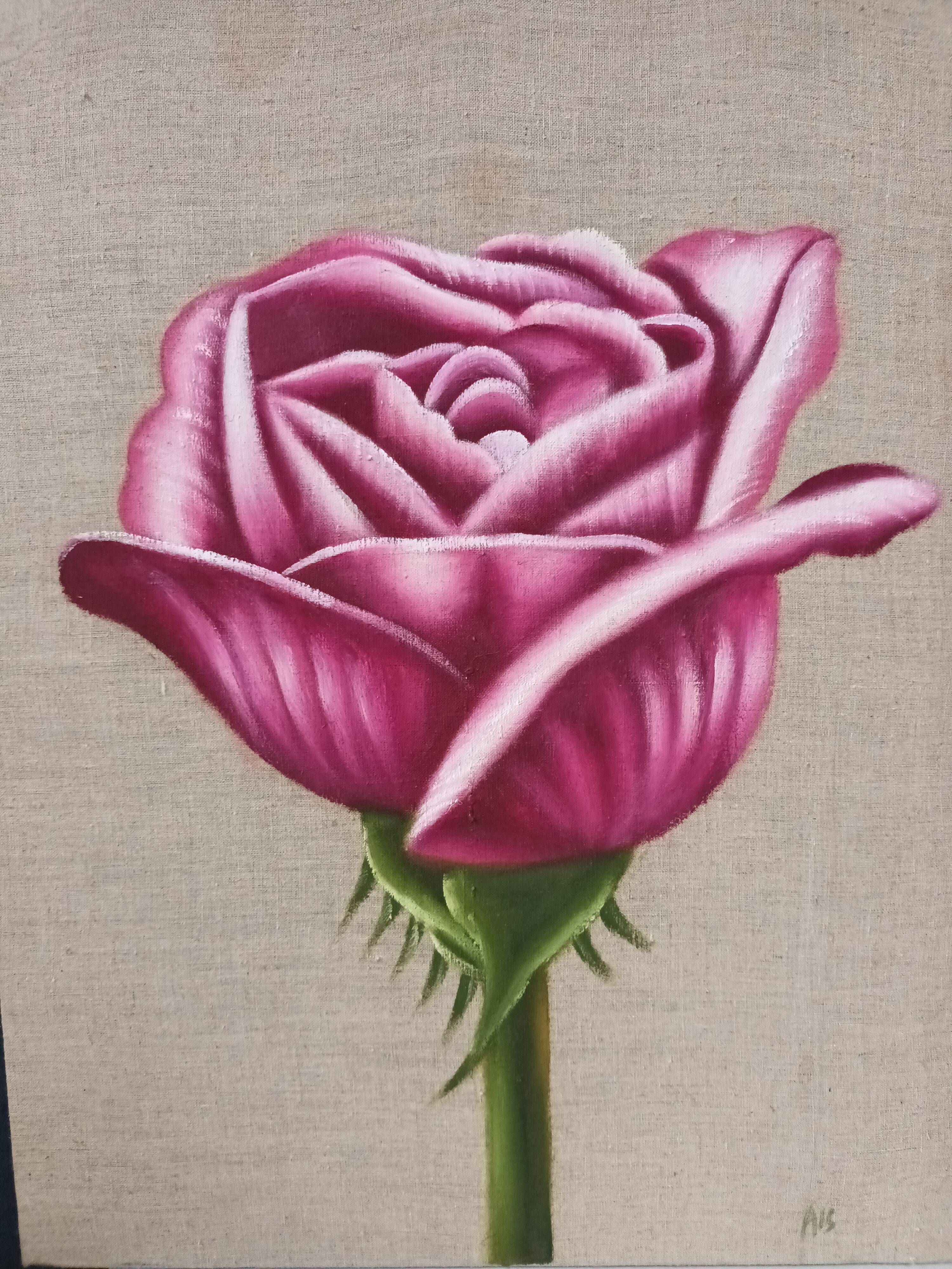 Pair of floral canvas