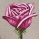Pair of floral canvas