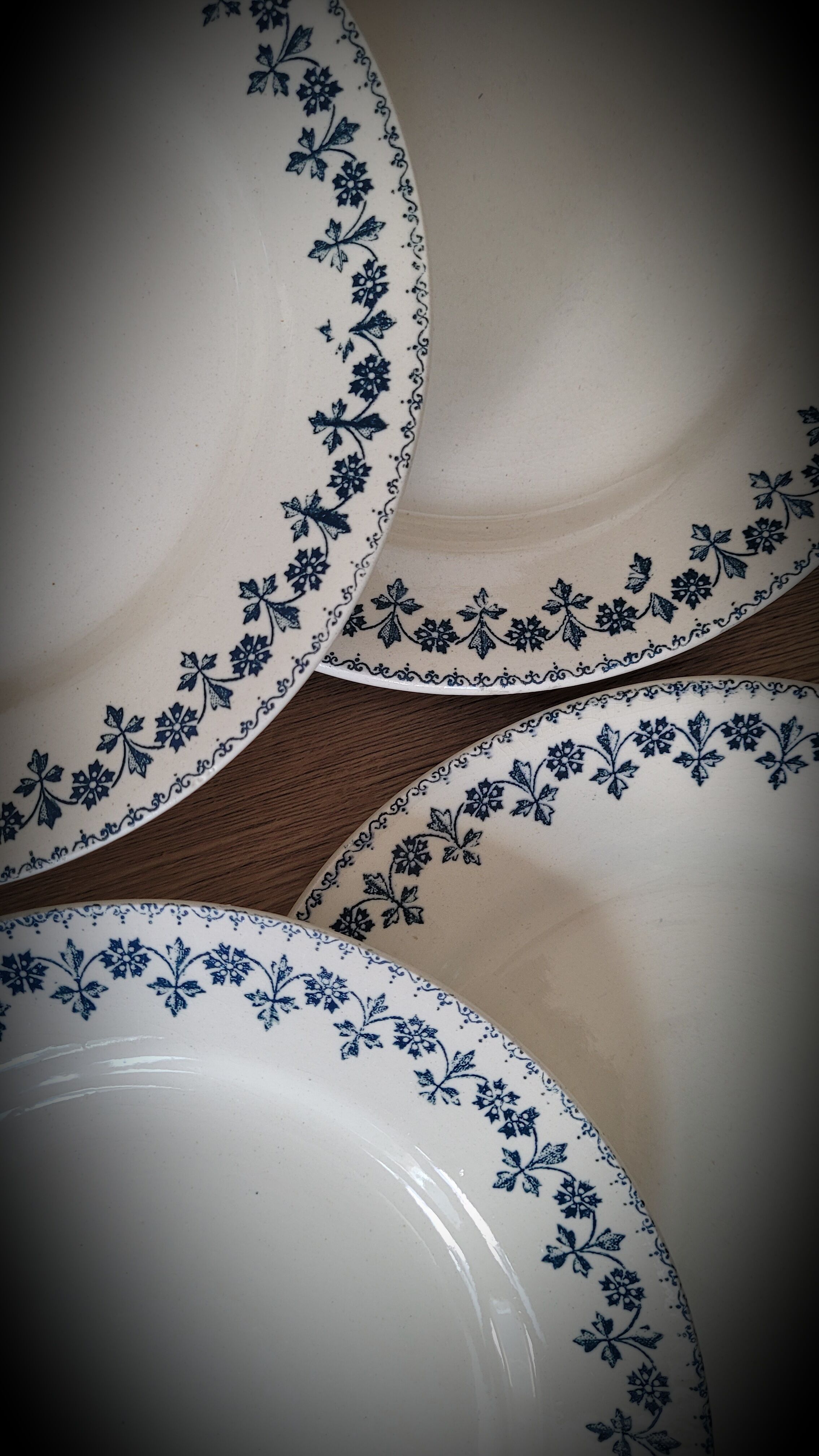 Set 6 plates Terre de Fer Barbeaux