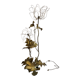 Floor lamp "flowers" in gilded brass