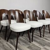 Dining Chairs by Antonin Suman, 1960s, Set of 8