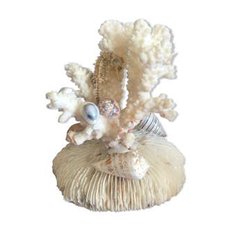 Vintage standing coral with seahorse