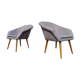 Pair of fiber armchair Miroslav Navratil gray