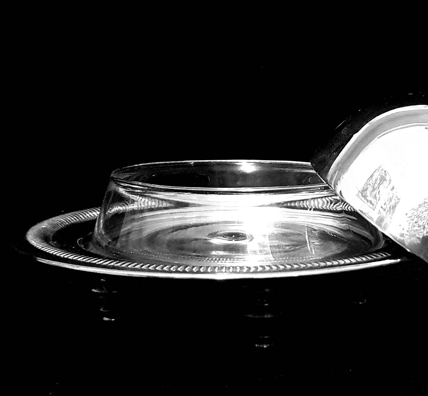 Silver metal caviar display