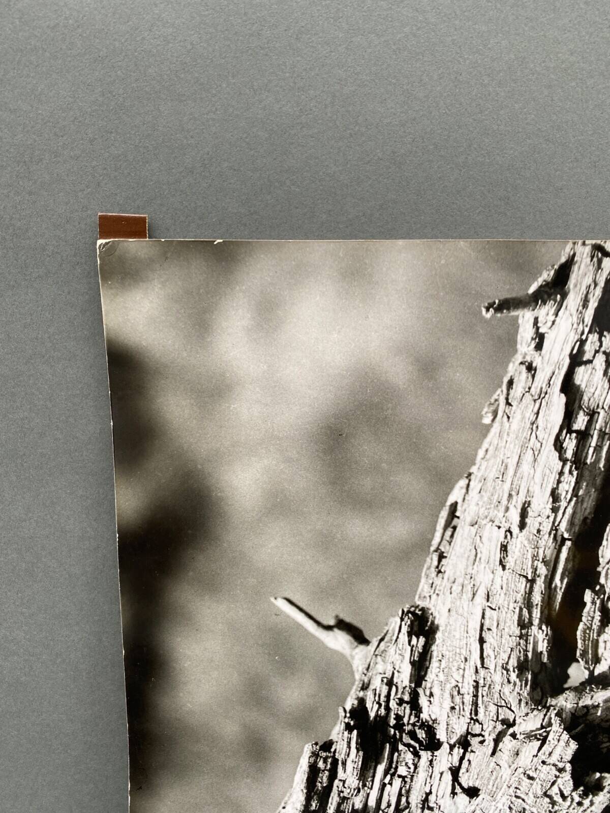 Silver gelatin photograph by Bernard Darot, 20th century study, Nantes Photo Club AFIAP