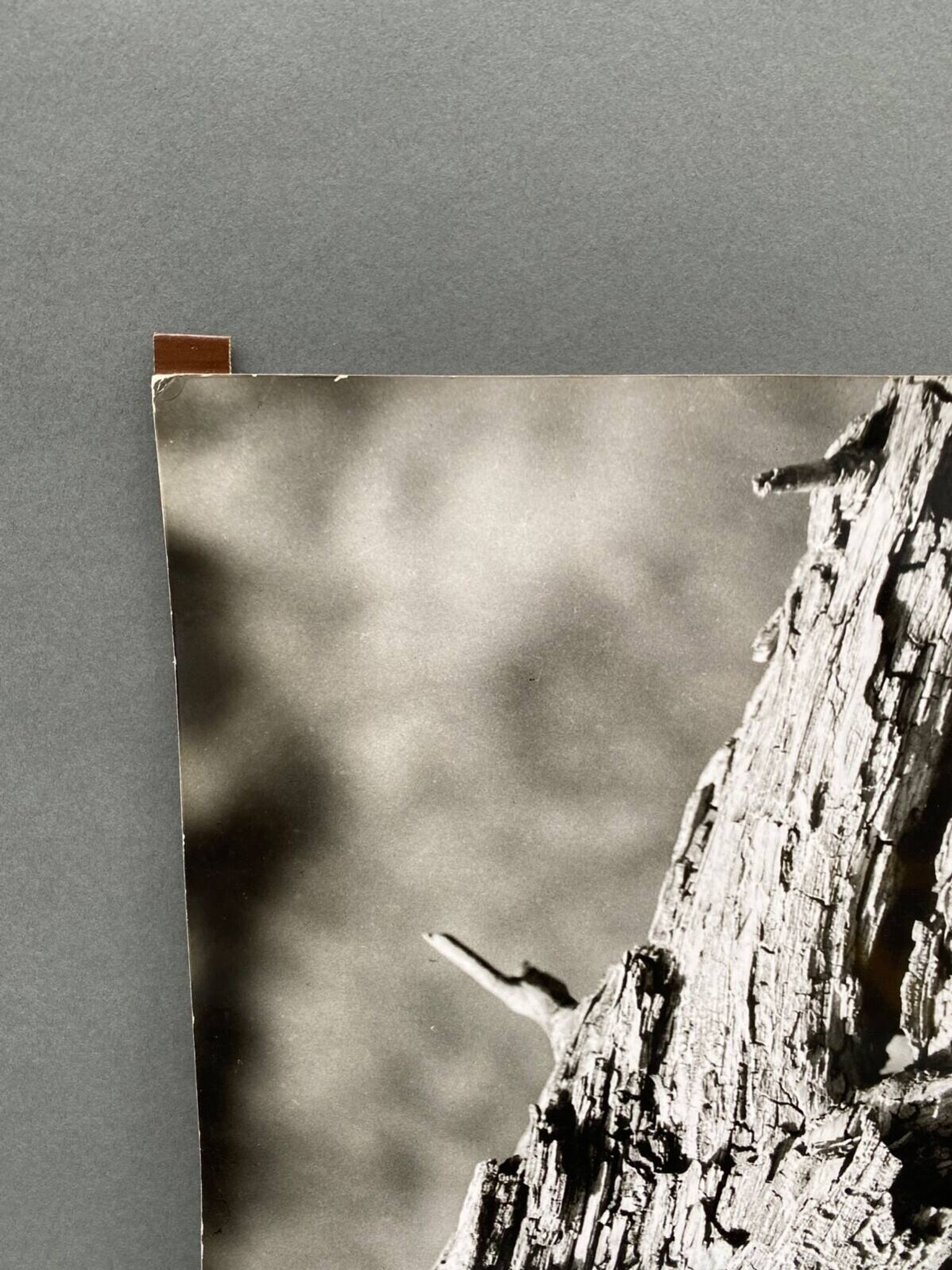 Silver gelatin photograph by Bernard Darot, 20th century study, Nantes Photo Club AFIAP