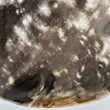 Dish in petrified wood