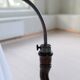 Organic whirlwind floor lamp in stained birch, Sweden, 1940s.