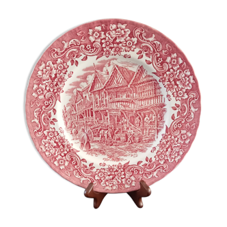 Royal Tudor Ware Ironstone Plate