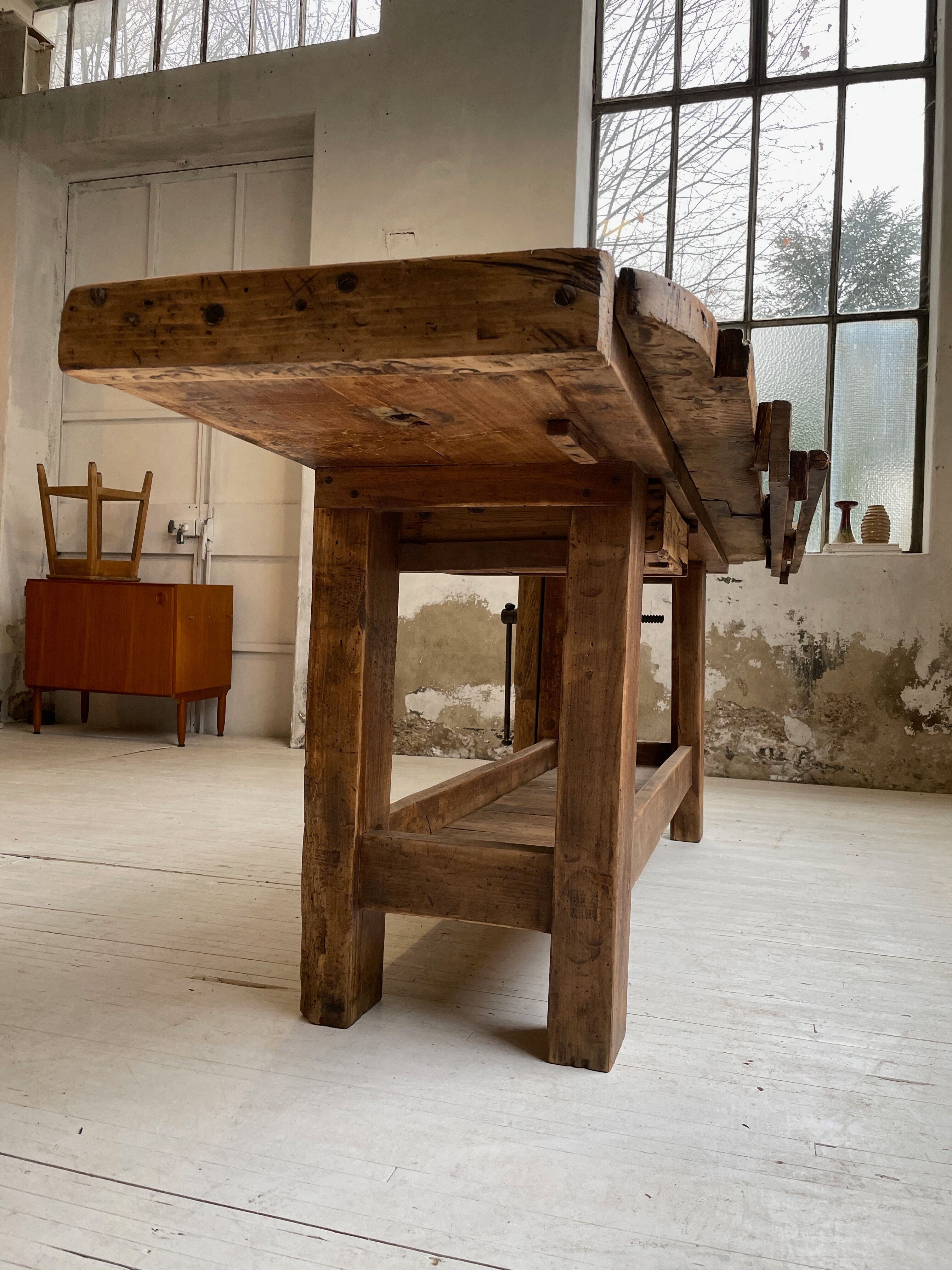 Established old oak XL