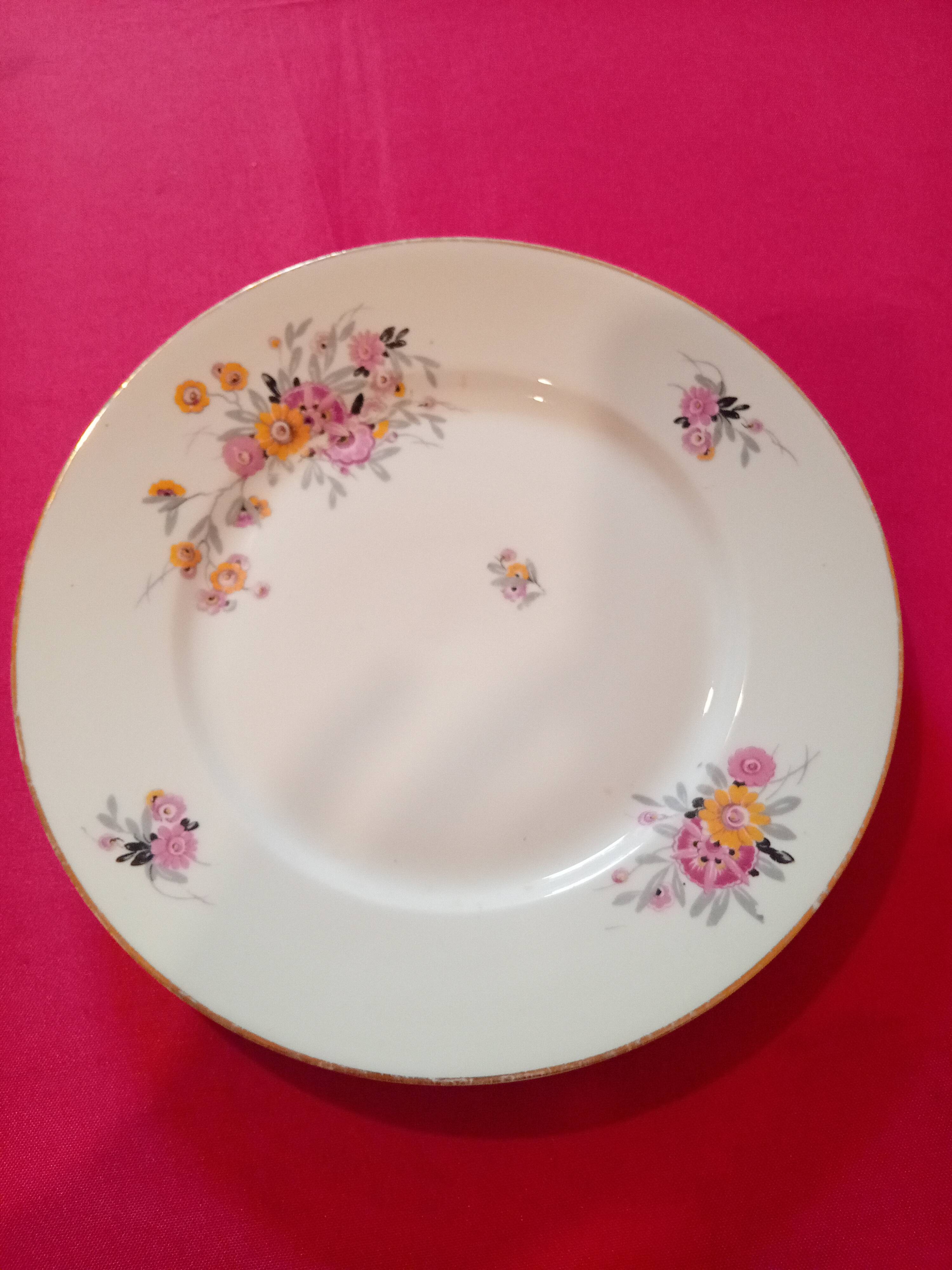 flat plate Chartres sur Cher Gaston Sailly