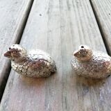 Pair of pepper salt birds